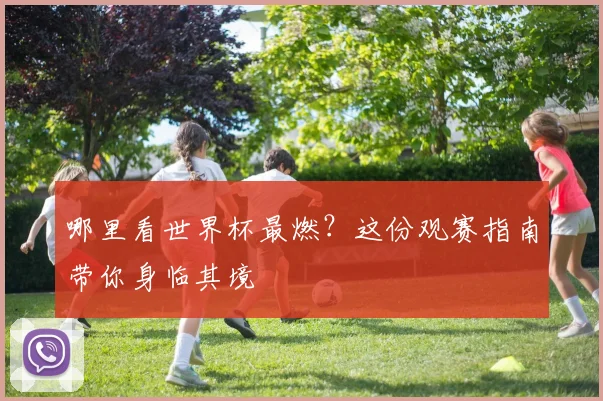 哪里看世界杯最燃？这份观赛指南带你身临其境